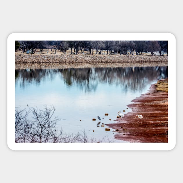 Salt Fork of the Arkansas River in Oklahoma by Debra Martz Sticker by Debra Martz